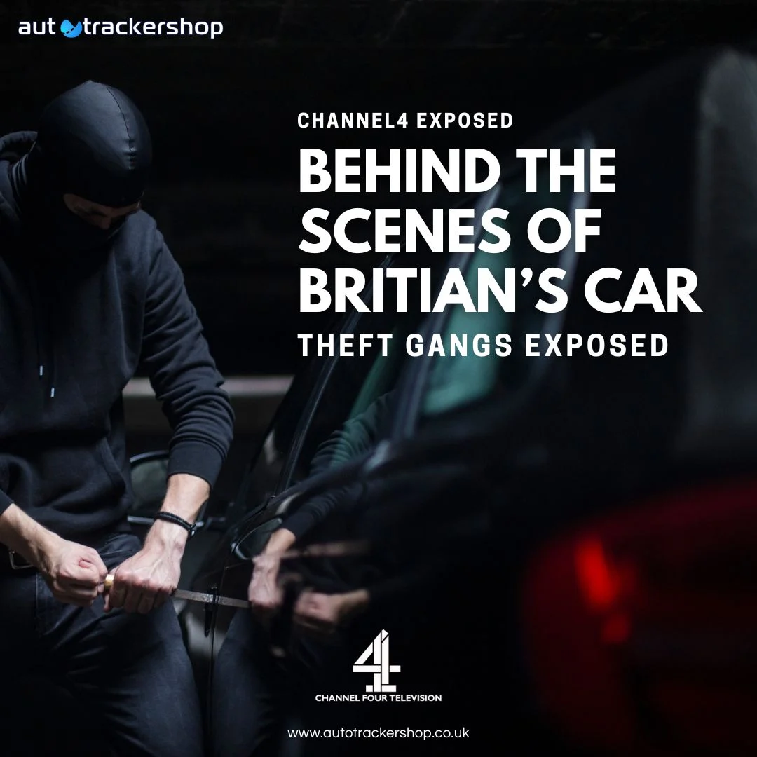 Car Theft Gangs Exposed